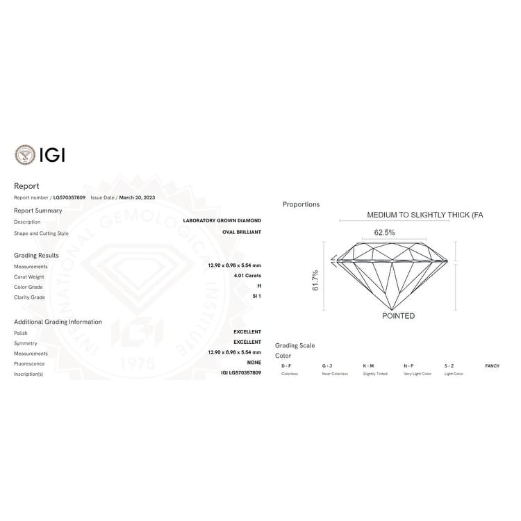 Bliss Diamond Certified 4.10Ct Oval Diamond Side Halo Engagement Ring Gold Lab Grown