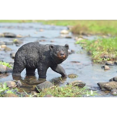 Black Bear Walking