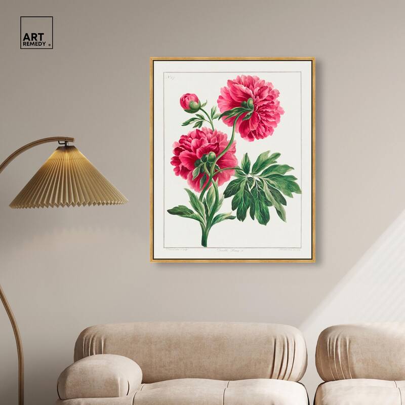 Double Peony (1789) Canvas by Art Remedy