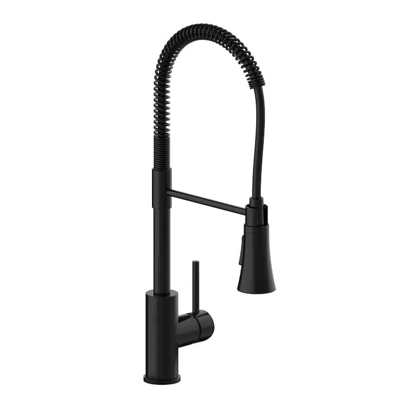 Design House Spencer 1.8 GPM Single Hole Pre-Rinse Kitchen Faucet -