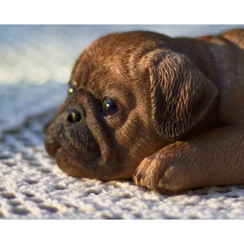 5" Pug Lying Refrigerator Magnet