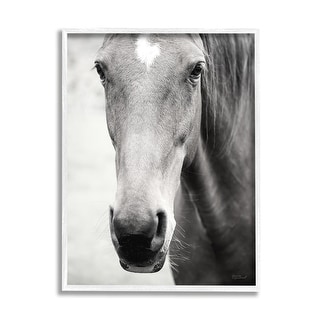 Stupell Vintage Horse Painting Framed Giclee Art Design By Liz Jardine