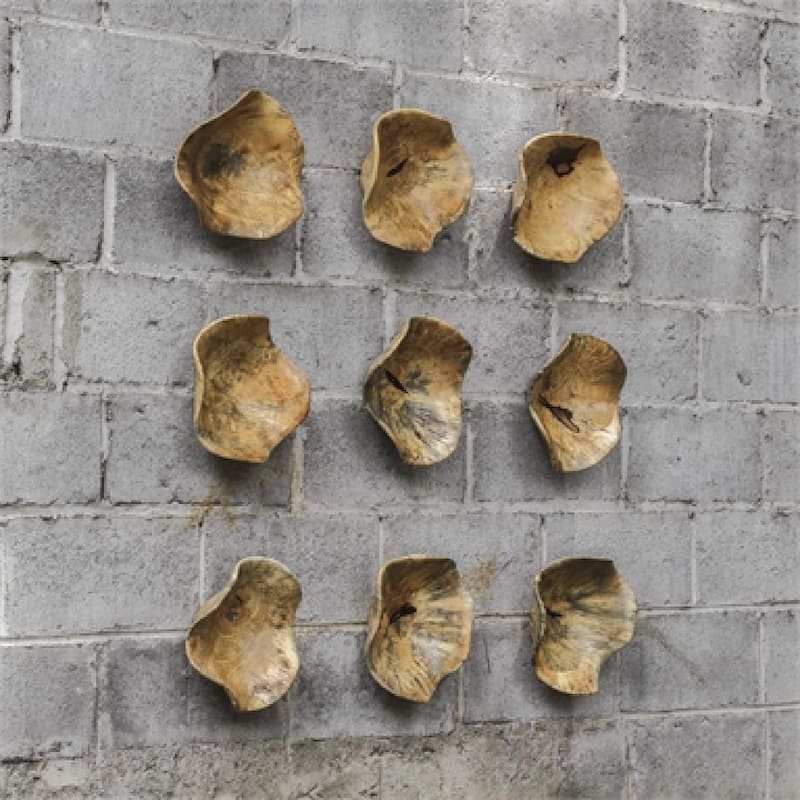 Spalted Tamarind Wooden Wall Decoration - 10" - Set of 3