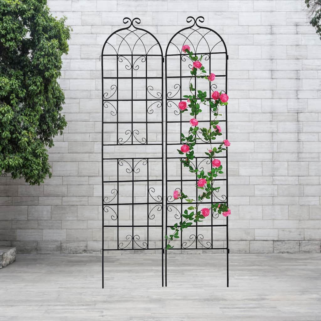 JASIWAY 2 Pack Metal Garden Trellis, Black