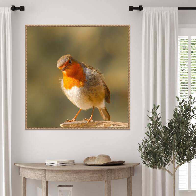 Whats up by Annie Keizer Framed Canvas Wall Art Print