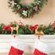 Option Reindeer Set