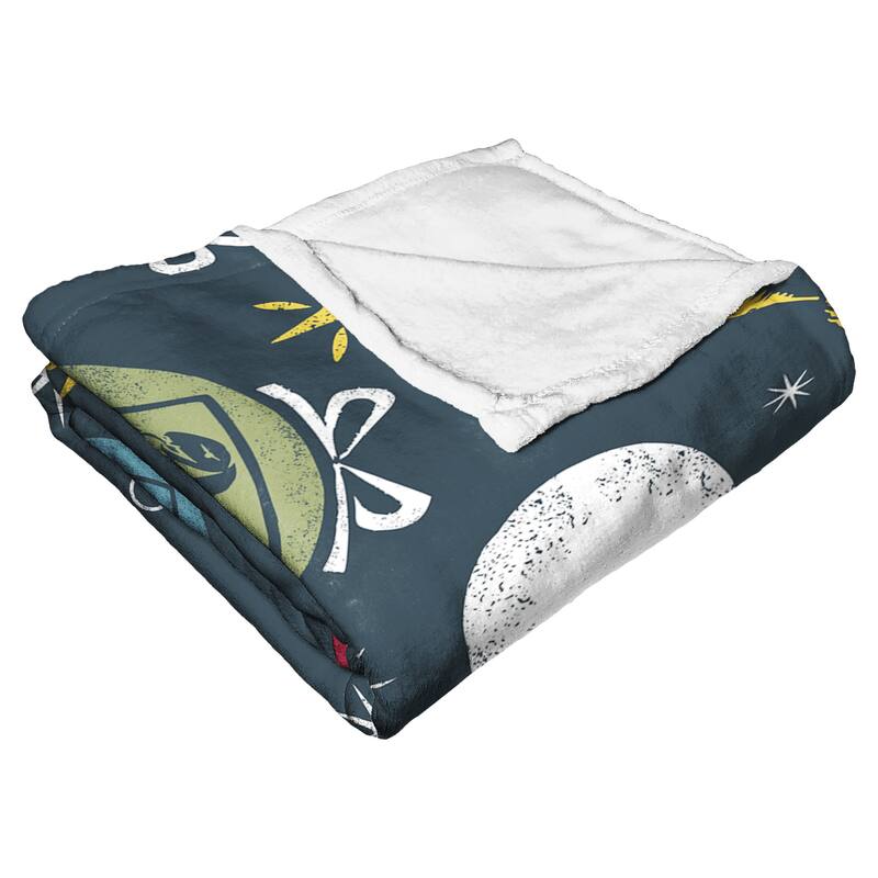 Warner Brothers Harry Potter House Ornaments Silk Touch Throw Blanket