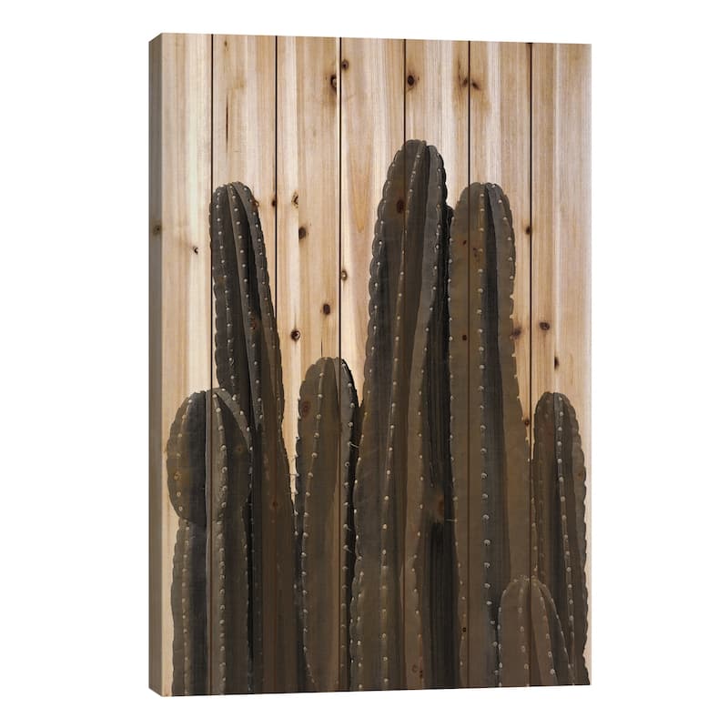 Cactus I B&W Print On Wood by Orara Studio - Multi-Color - 40x26x1.5