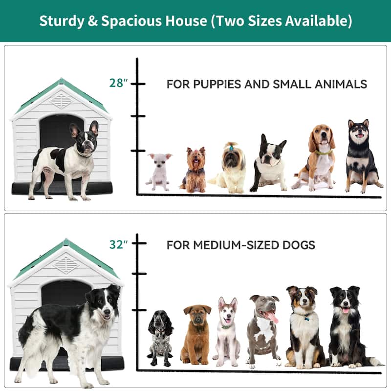 Moasis Plastic Dog House
