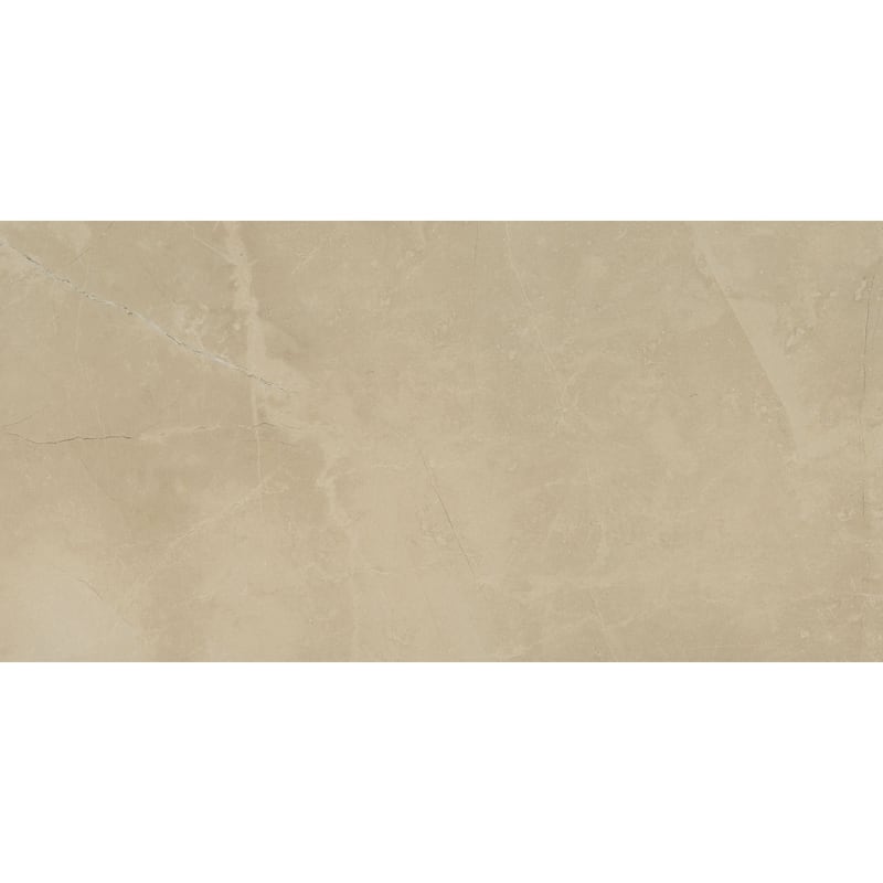 Ackland AKNPTSON12X24M-PL Sonoma - 12" x 24" Rectangle Floor and Wall