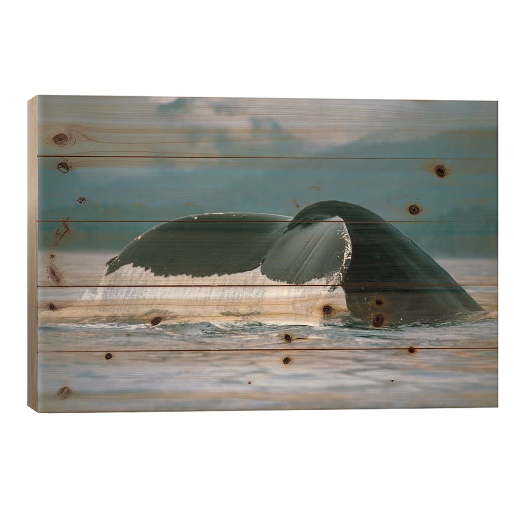Humpback Whale Tail, Alaska Print On Wood by Flip Nicklin - Multi-Color