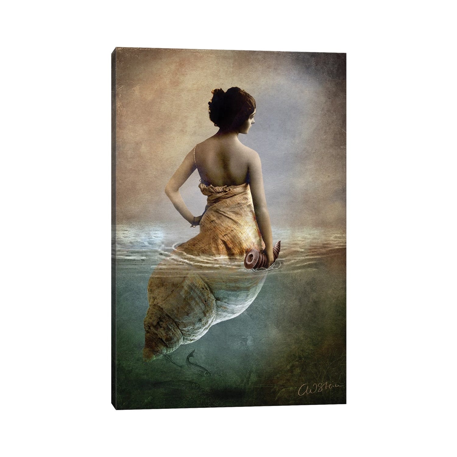 iCanvas "Hear Me Calling" by Catrin Welz-Stein Canvas Print