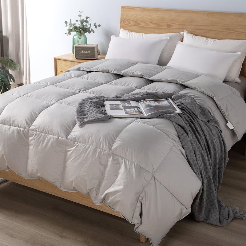 KASENTEX Cotton Cover Down Comforter - Duvet Insert - All Season