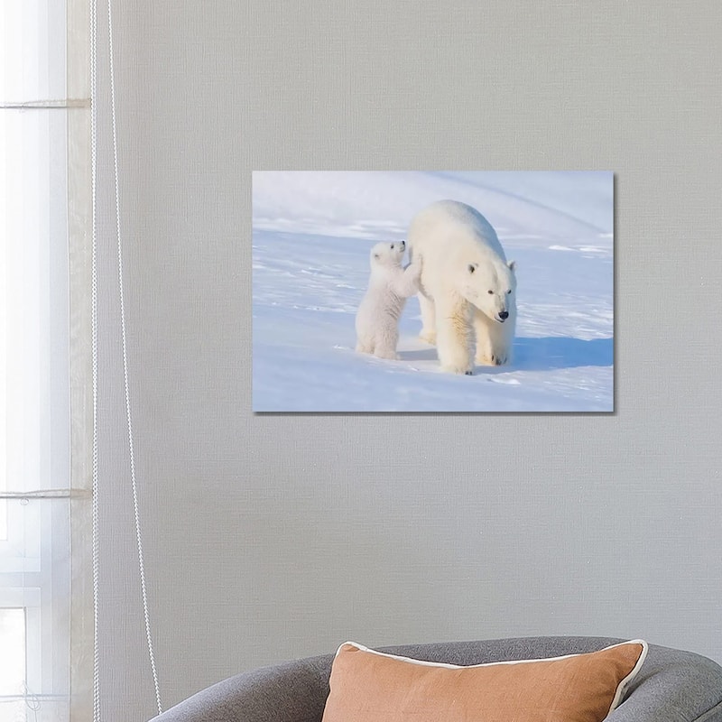 iCanvas "Polar Bear Sow With Spring Cub Newly Emerged From Their Den, Area 1002, ANWR, Alaska" by Steve Kazlowski Canvas Print - 18x26x1.5