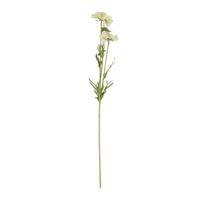 Scabiosa Flower Floral Accent (Set of 12) - Ivory - 29"