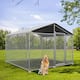 Outdoor Dog Kennels
