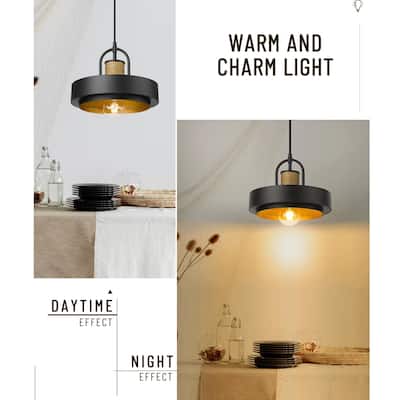 1-Light Barn Pendant Light