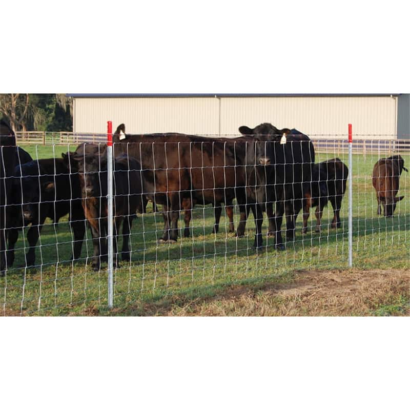 4ft x 328ft Galvanized Field Fence for Livestock, Deer, Goat & Hog Protection
