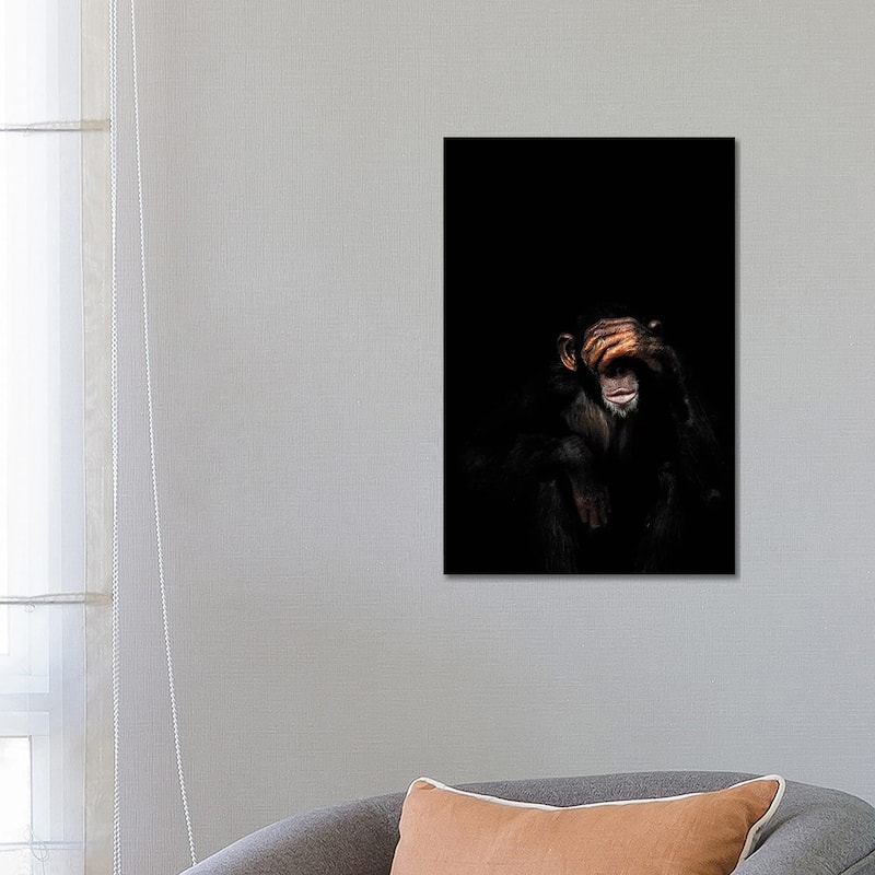 iCanvas "See No Evil" by Wouter Rikken Canvas Print - 26x18x1.5