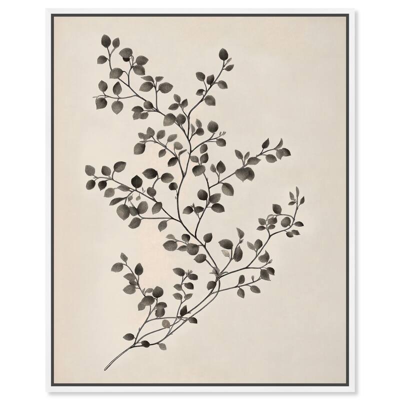 Bilberry Branch II Canvas by Art Remedy - White - 36" x 45"