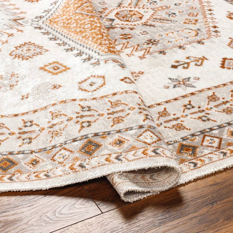 Artistic Weavers Basel Traditional Medallion Area Rug