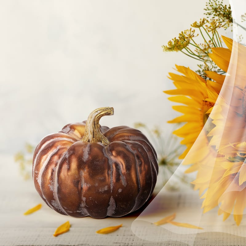 6" Autumn Pumpkin Set of 2 - strofoam:90% plastic:10% - Brown