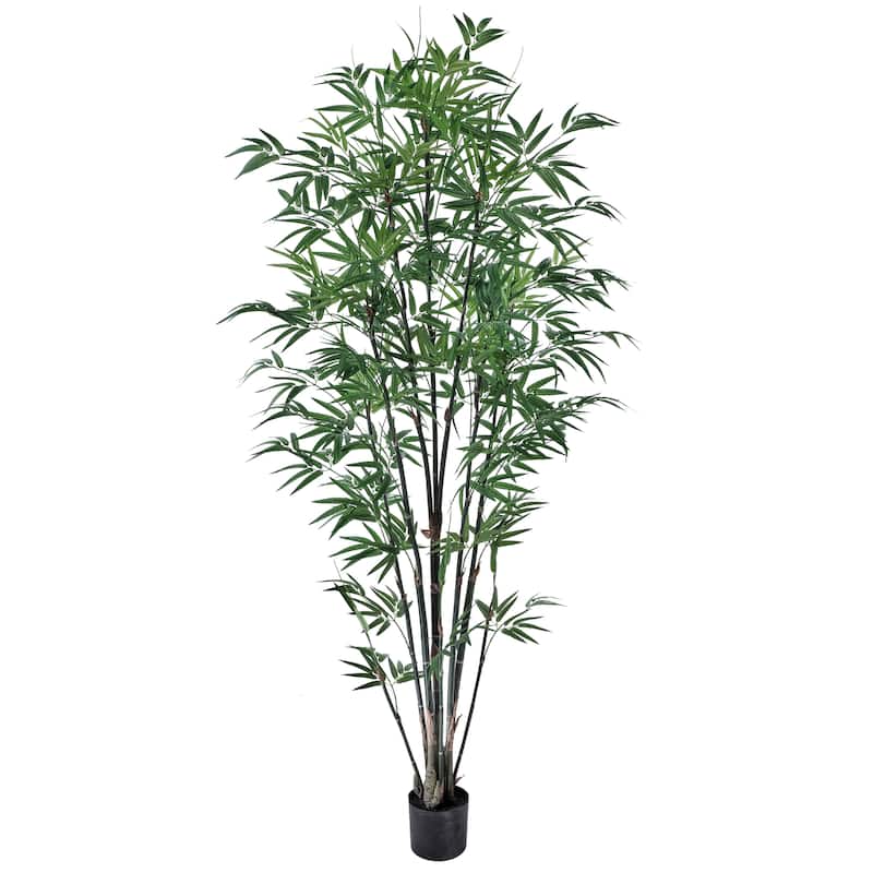 Potted Zen Bamboo Tree 6'