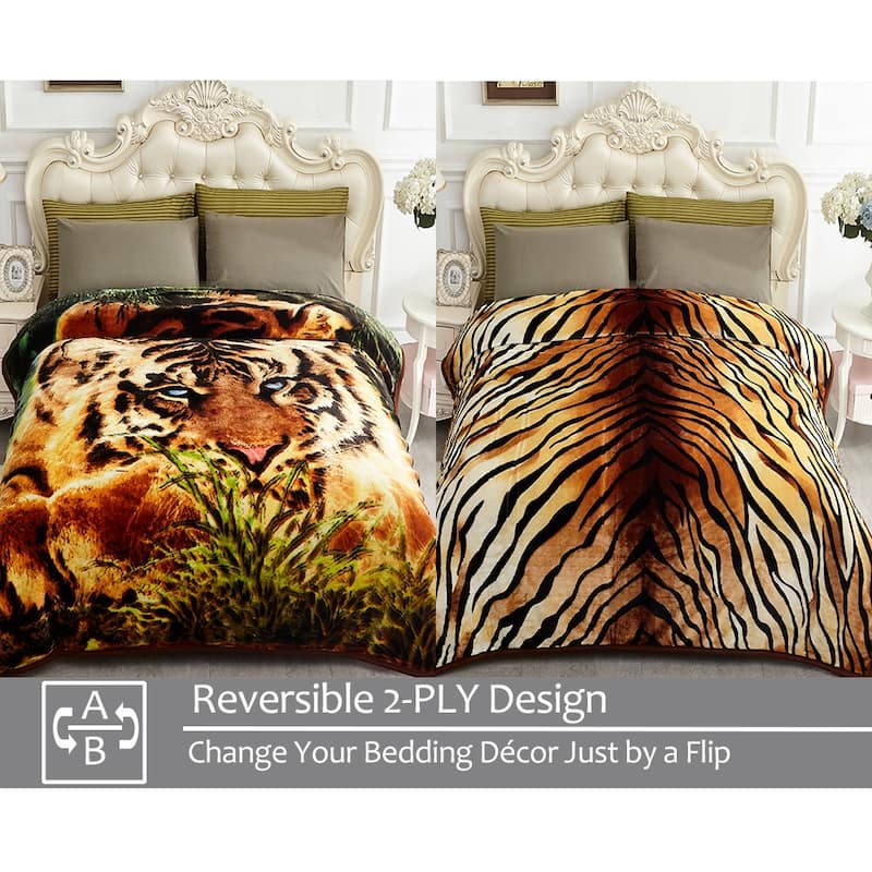 Raschel A&B Printed 2-ply Reversible Korean-style Plush Fleece Blanket
