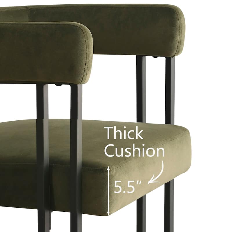 Upholstered Velvet Armchair (Set of 2)