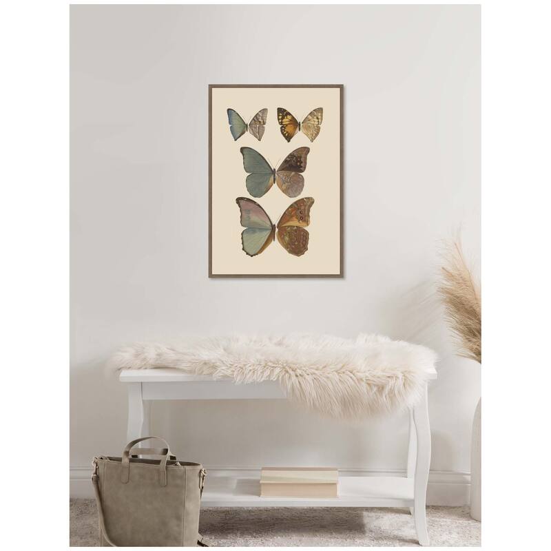 Kate and Laurel Exotische schmetterlinge Pl 067 by Otto Staudinger by Nostalgia Prints Framed Canvas Wall Art Print
