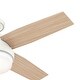 preview thumbnail 6 of 21, Hunter 44" Dempsey Low Profile Outdoor Ceiling Fan with LED Light Kit and Handheld Remote, Damp Rated, Contemporary, Industrial