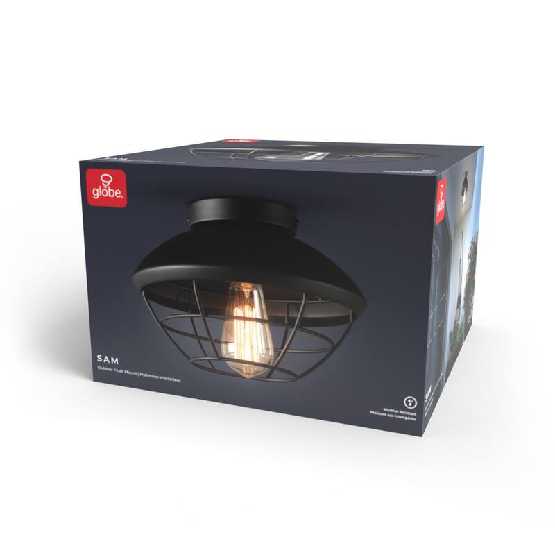 1-Light Outdoor Flush Mount Ceiling Light, Matte Black, Metal Cage Shade, Weather Resistant, Indoor - 10"