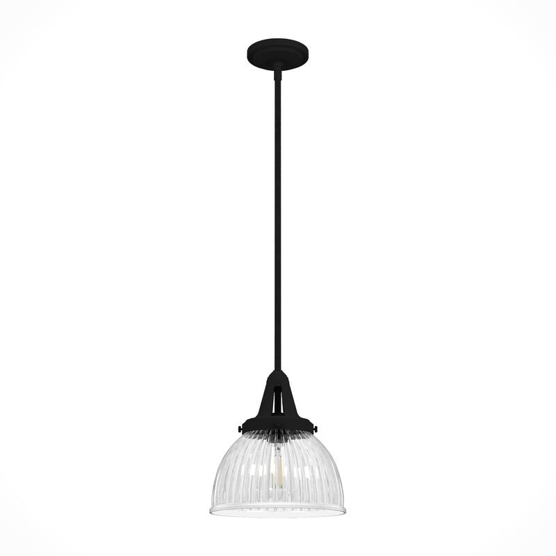 Hunter Cypress Grove 10" 1-Light Pendant - Island, Dining Room - Industrial, Transitional, Contemporary