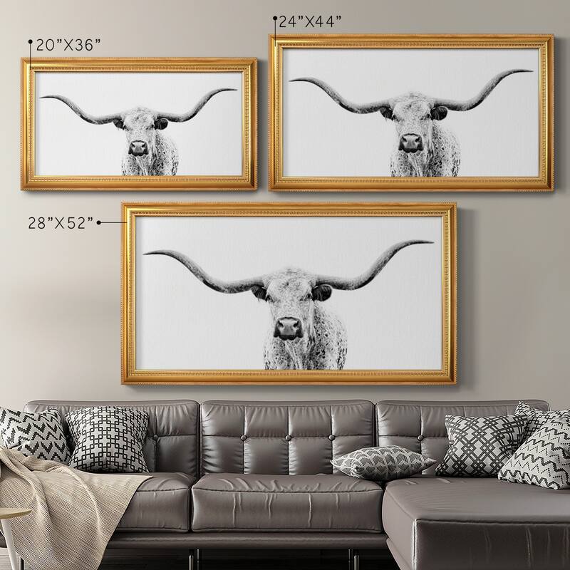 Longhorn Gaze Premium Framed Canvas- Ready to Hang