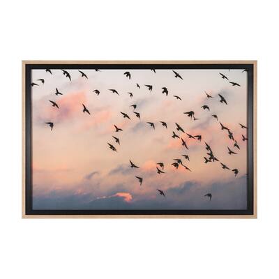Evening Flight Framed Art Print
