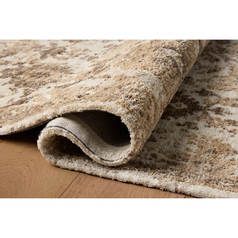 Alexander Home Paxen Traditional Area Rug