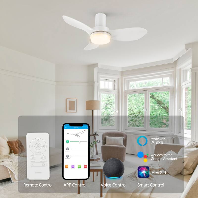 CARRO Chamomile 36" 3-Blade Indoor Smart Ceiling Fan with Light and Remote