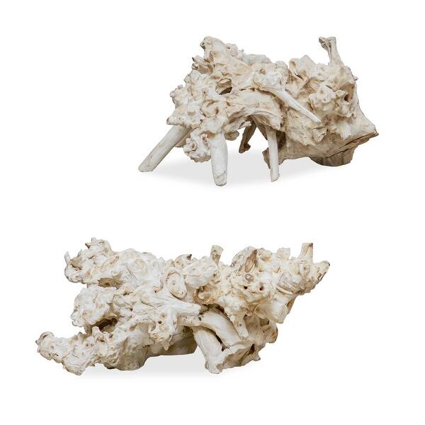 slide 1 of 1, Uttermost Elemental Root Outdoor Sculptures Set/2