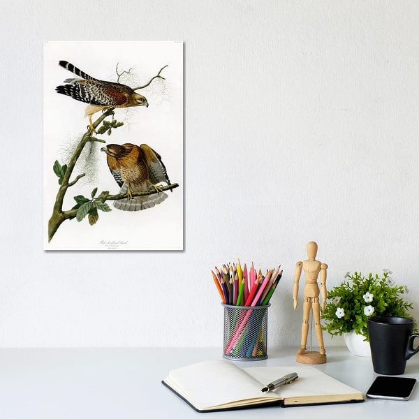 iCanvasART 3-Piece Red-shoulderd Hawk Canvas Print by John James Audubon 1.5 by 40 by 60-Inch iCanvasART 3-Piece Red-shoulderd Hawk Canvas Print by John James Audubon 1.5 by 40 by 60-Inch