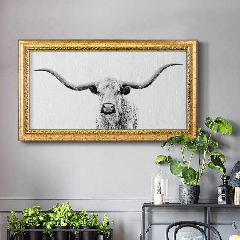 Longhorn Gaze Premium Framed Canvas- Ready to Hang
