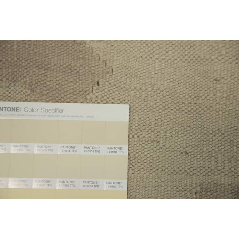Hand Woven Southwestern Wool Beige Geometric Area Rug - 8' 10'' X 5' 10''