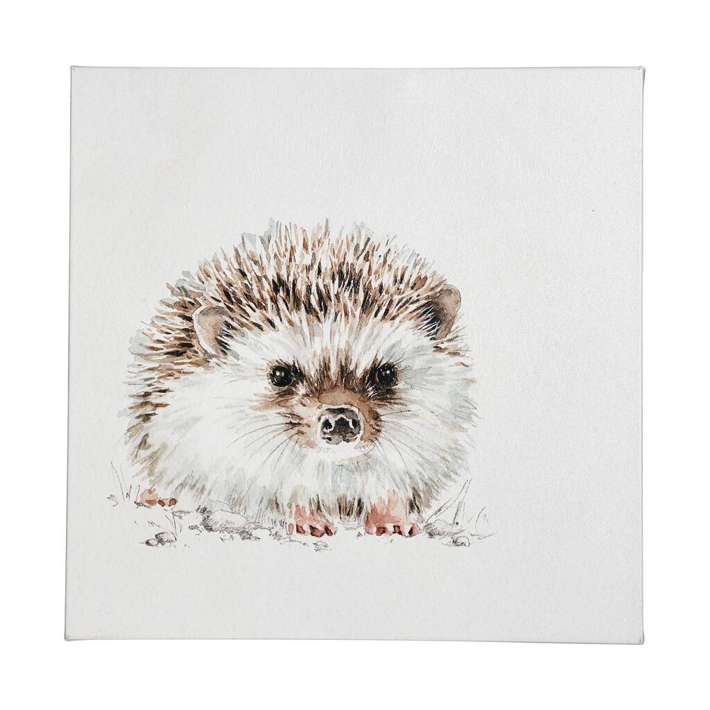 Forest Friends VII (Hedgehog) (41 x 41) Canvas Art Print