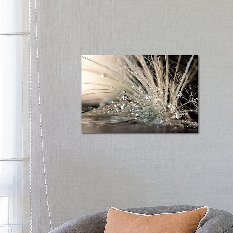 iCanvas "Pearls" by Maryam Zahirimehr Canvas Print - 18x26x1.5