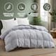 Option Medium Weight Light Gray