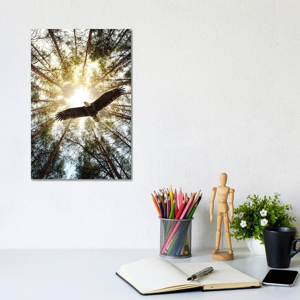iCanvas "Master Of Heaven Bold Eagle" by Nik Rave Canvas Print