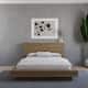 Option Brown Oak