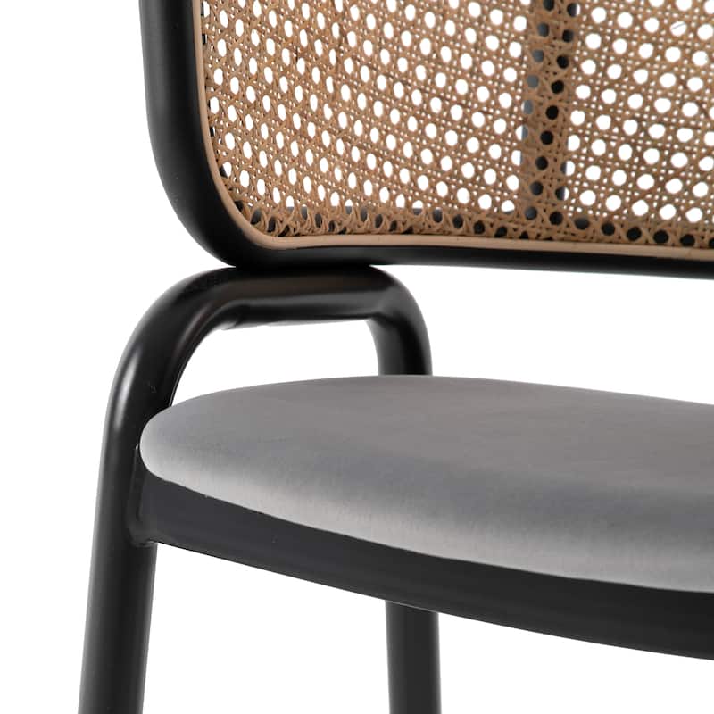 Ervilla Modern Mid-Century Velvet Upholstery Powder-Coated Steel Legs Dining Armchair with Plastic Floor Protectors