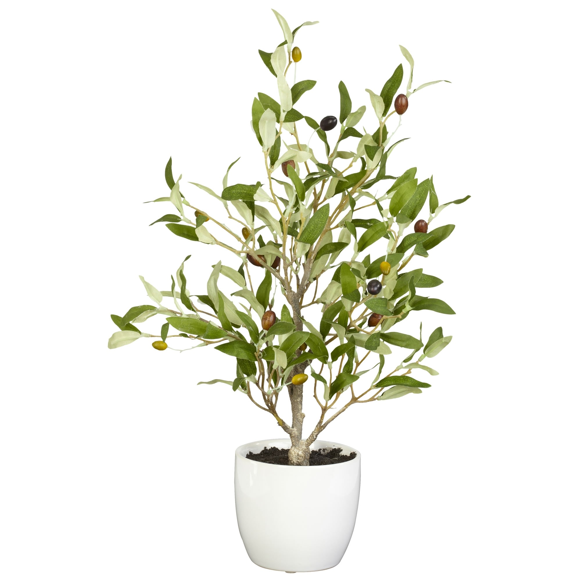 Artificial Olive Tree in White Plant Pot