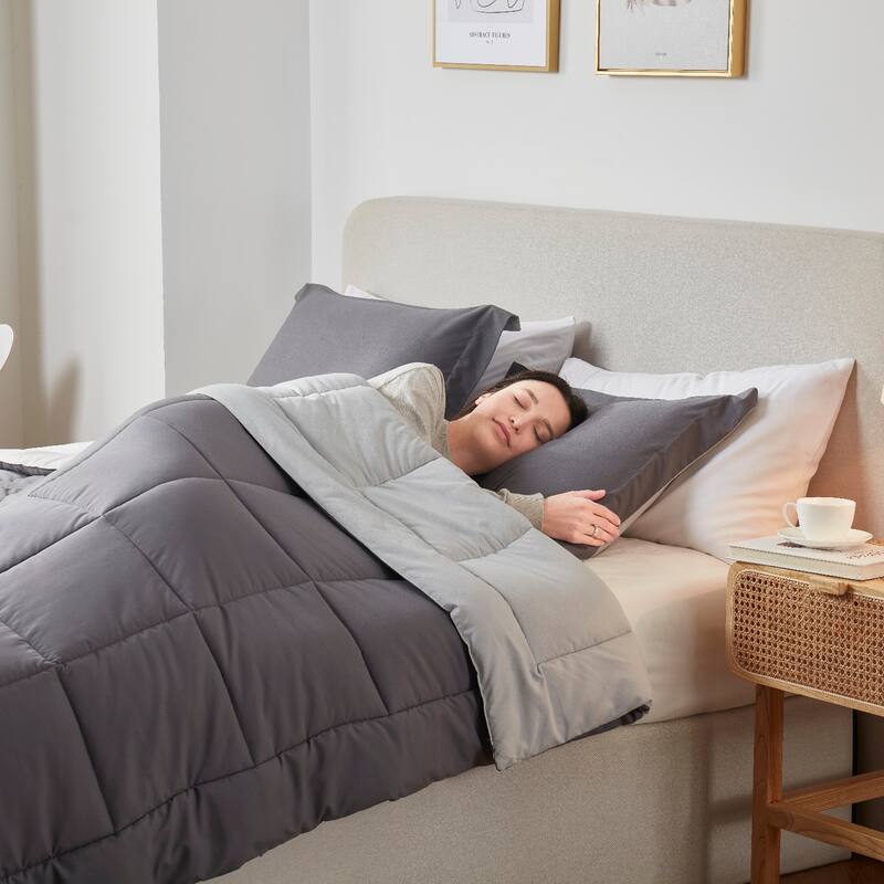 Empyrean All Season Alternative Down Lightweight Reversible Comforter Set