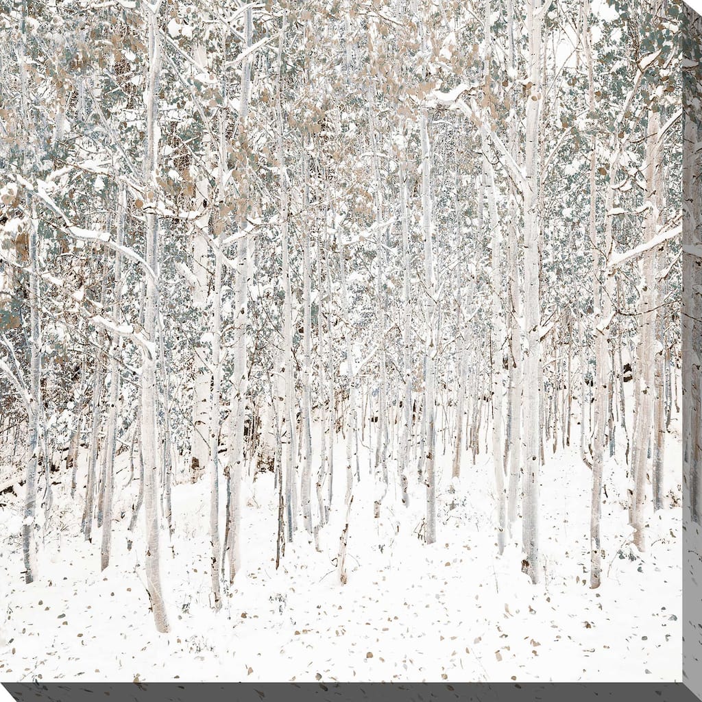 "White Snow Wonderland" Print on Canvas